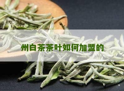 州白茶茶叶如何加盟的