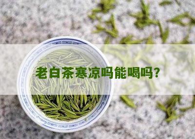 老白茶寒凉吗能喝吗？