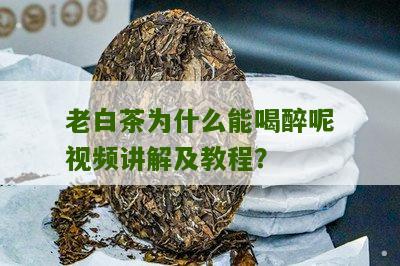 老白茶为什么能喝醉呢视频讲解及教程？