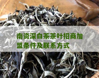 南资深白茶茶叶招商加盟条件及联系方式