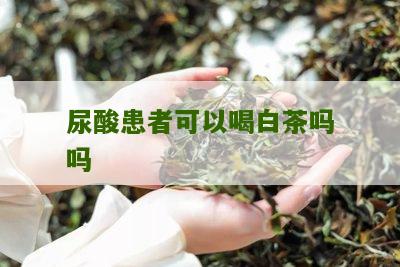 尿酸患者可以喝白茶吗吗