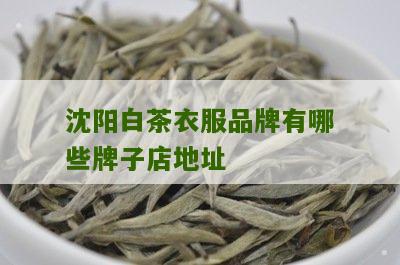 沈阳白茶衣服品牌有哪些牌子店地址