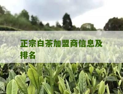 正宗白茶加盟商信息及排名