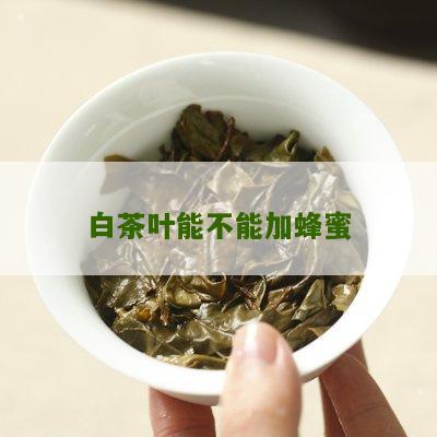 白茶叶能不能加蜂蜜