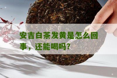 安吉白茶发黄是怎么回事，还能喝吗？