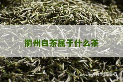 衢州白茶属于什么茶