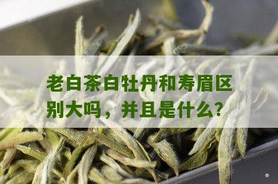 老白茶白牡丹和寿眉区别大吗，并且是什么？