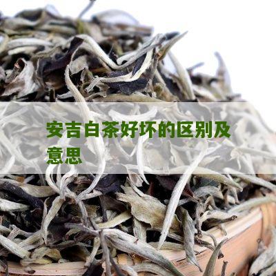 安吉白茶好坏的区别及意思