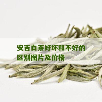 安吉白茶好坏和不好的区别图片及价格