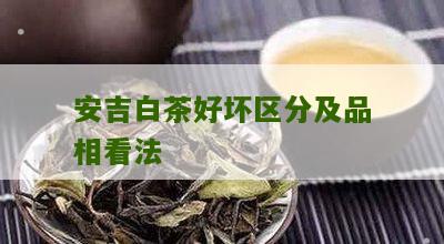 安吉白茶好坏区分及品相看法