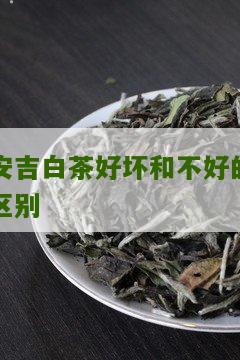 安吉白茶好坏和不好的区别