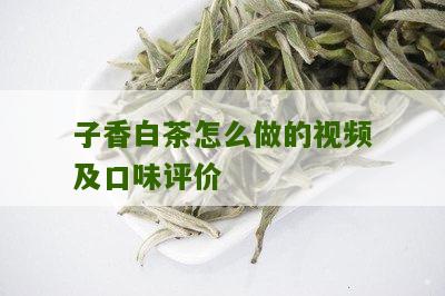 子香白茶怎么做的视频及口味评价