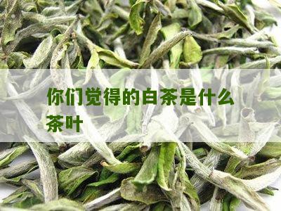 你们觉得的白茶是什么茶叶