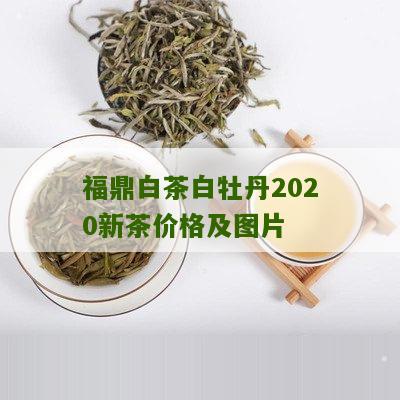 福鼎白茶白牡丹2020新茶价格及图片