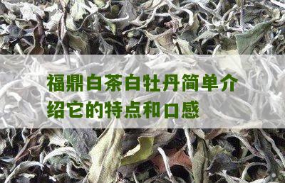 福鼎白茶白牡丹简单介绍它的特点和口感