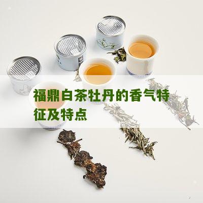 福鼎白茶牡丹的香气特征及特点