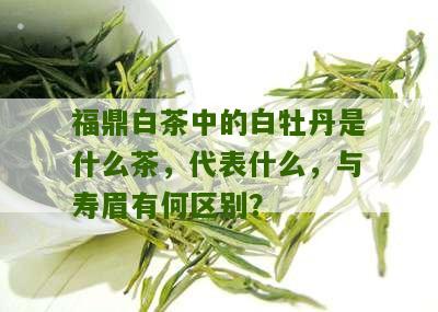 福鼎白茶中的白牡丹是什么茶，代表什么，与寿眉有何区别？