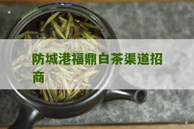 防城港福鼎白茶渠道招商