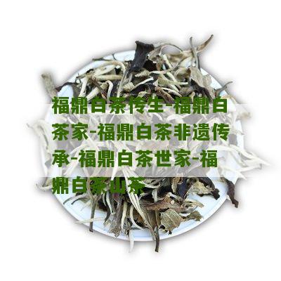 福鼎白茶传生-福鼎白茶家-福鼎白茶非遗传承-福鼎白茶世家-福鼎白茶山茶