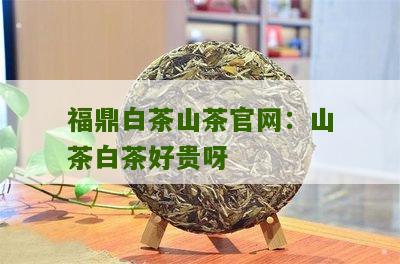 福鼎白茶山茶官网：山茶白茶好贵呀