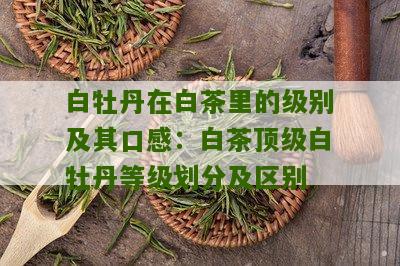 白牡丹在白茶里的级别及其口感：白茶顶级白牡丹等级划分及区别