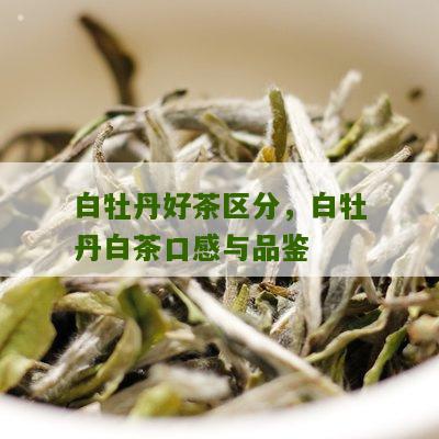 白牡丹好茶区分，白牡丹白茶口感与品鉴