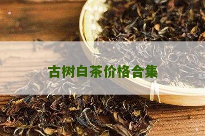 古树白茶价格合集