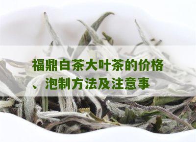 福鼎白茶大叶茶的价格、泡制方法及注意事