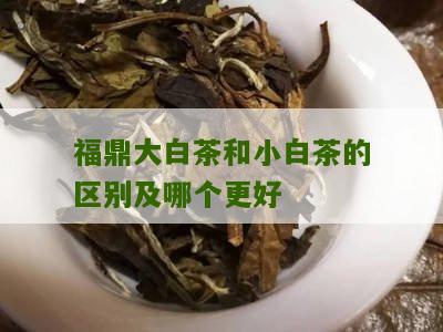 福鼎大白茶和小白茶的区别及哪个更好