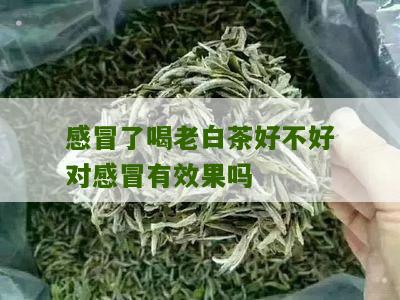 感冒了喝老白茶好不好对感冒有效果吗