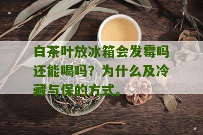 白茶叶放冰箱会发霉吗还能喝吗？为什么及冷藏与保的方式。