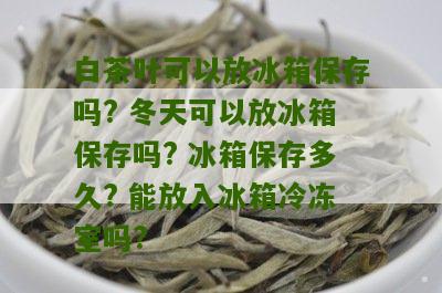 白茶叶可以放冰箱保存吗? 冬天可以放冰箱保存吗? 冰箱保存多久? 能放入冰箱冷冻室吗?