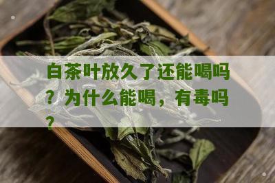 白茶叶放久了还能喝吗？为什么能喝，有毒吗？