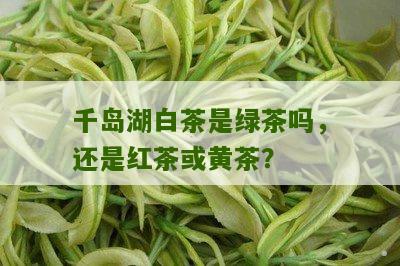 千岛湖白茶是绿茶吗，还是红茶或黄茶？