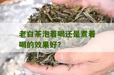 老白茶泡着喝还是煮着喝的效果好？