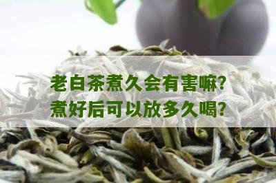 老白茶煮久会有害嘛？煮好后可以放多久喝？