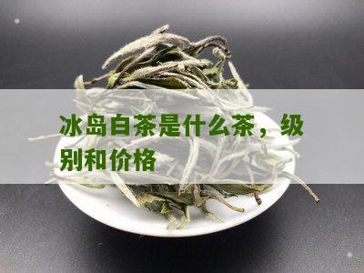 冰岛白茶是什么茶，级别和价格