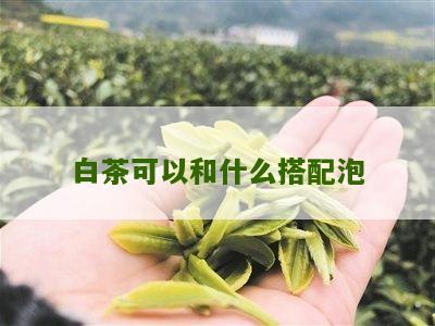 白茶可以和什么搭配泡