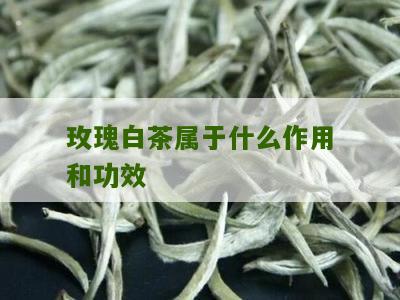 玫瑰白茶属于什么作用和功效