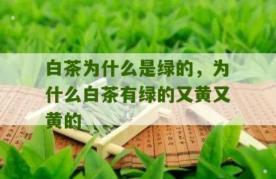 白茶为什么是绿的，为什么白茶有绿的又黄又黄的