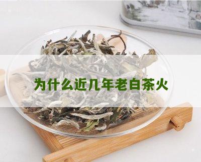 为什么近几年老白茶火