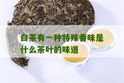 白茶有一种特殊香味是什么茶叶的味道