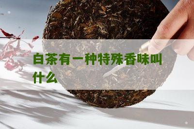 白茶有一种特殊香味叫什么