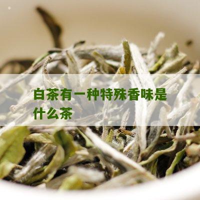 白茶有一种特殊香味是什么茶