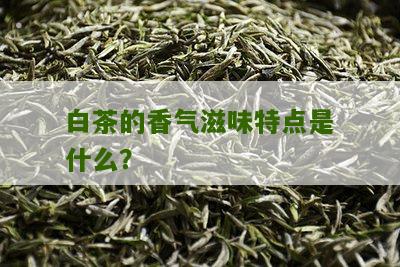 白茶的香气滋味特点是什么？