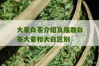 大豪白茶介绍及福鼎白茶大豪和大白区别