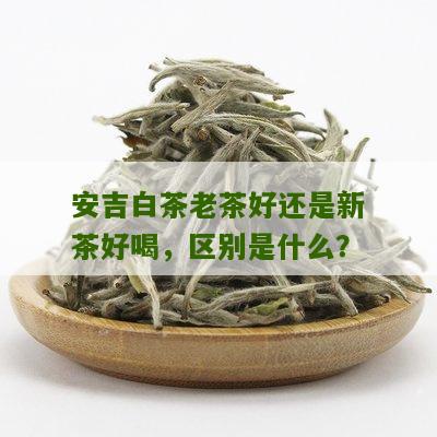 安吉白茶老茶好还是新茶好喝，区别是什么？