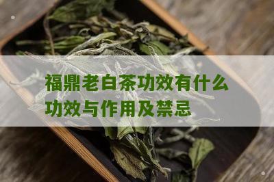 福鼎老白茶功效有什么功效与作用及禁忌