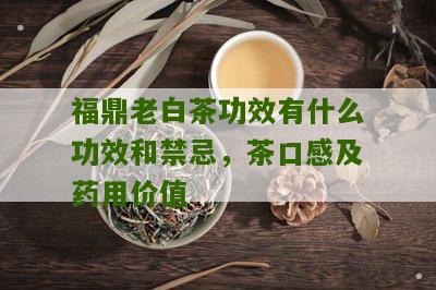 福鼎老白茶功效有什么功效和禁忌，茶口感及药用价值