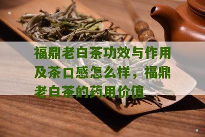 福鼎老白茶功效与作用及茶口感怎么样，福鼎老白茶的药用价值